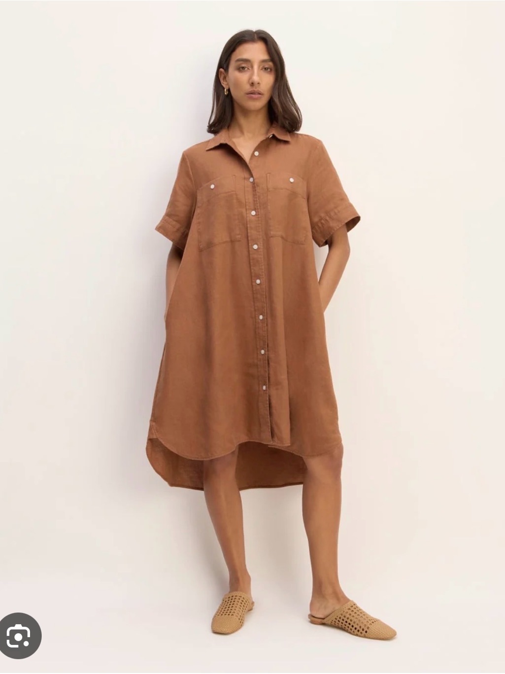 Everlane Daytripper Button-Front Shirt Dress In Carob Brown Size L
